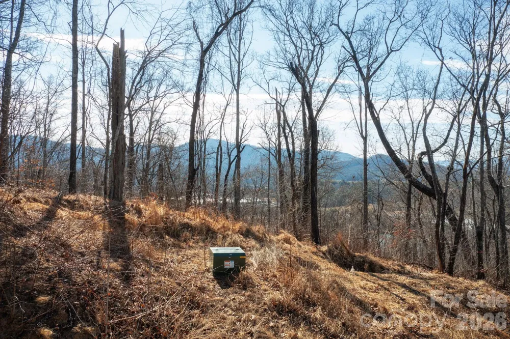 000 Bee Tree Road #103B Swannanoa, NC 28778