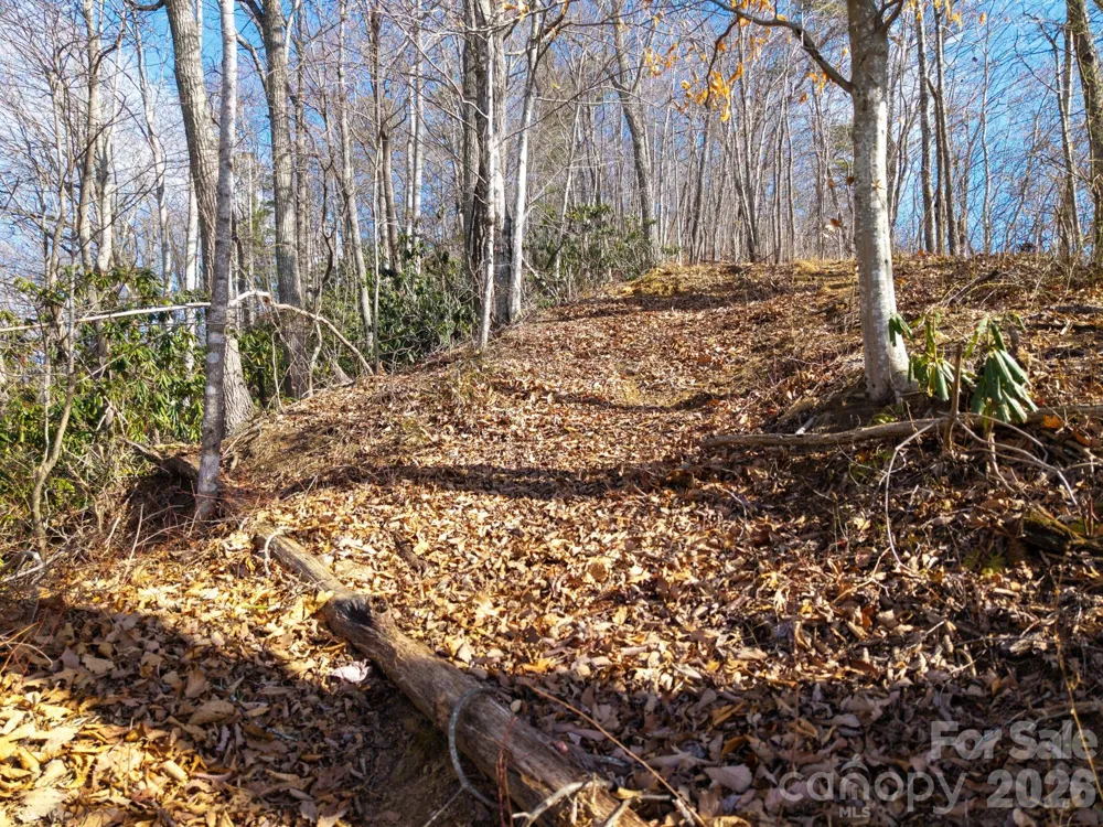 000 Bee Tree Road #103B Swannanoa, NC 28778