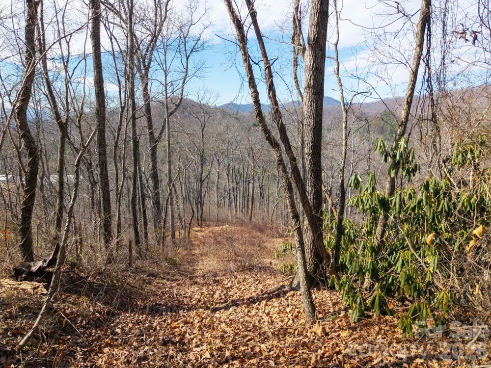 000 Bee Tree Road #103B Swannanoa, NC 28778