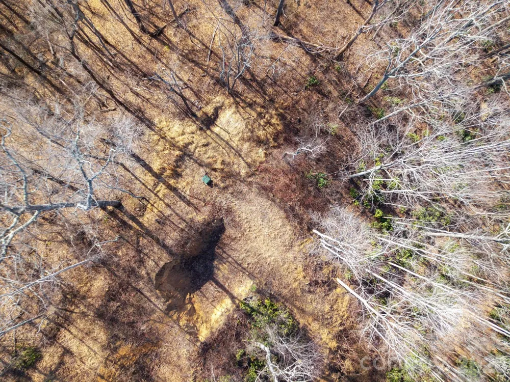000 Bee Tree Road #103B Swannanoa, NC 28778