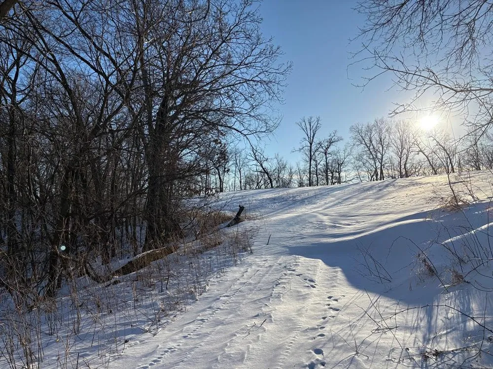 0 Yaeger Valley Road Cochrane, WI 54622