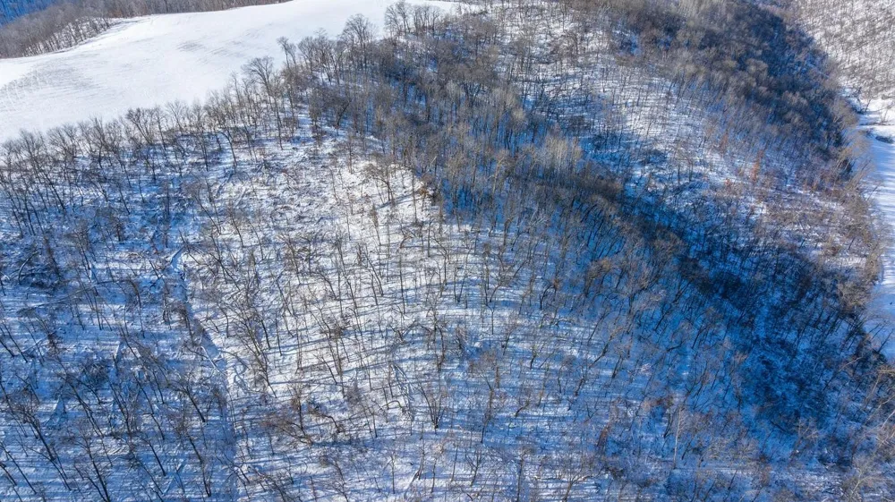 0 Yaeger Valley Road Cochrane, WI 54622