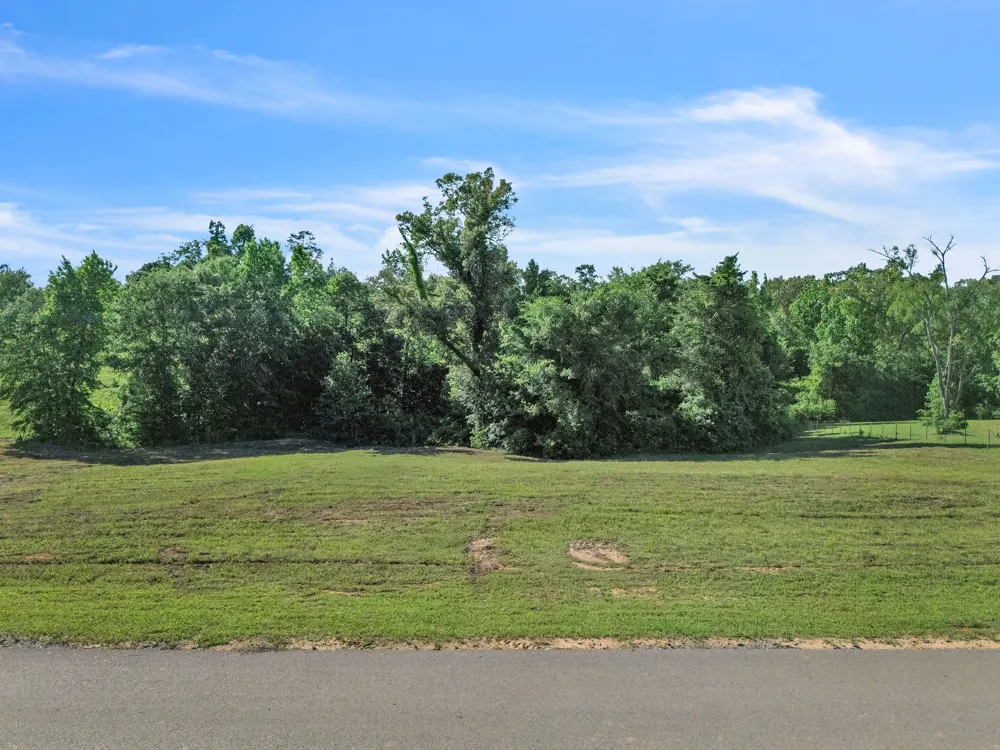 Ridgeline Loop #Lot #93 Winona, TX 75792