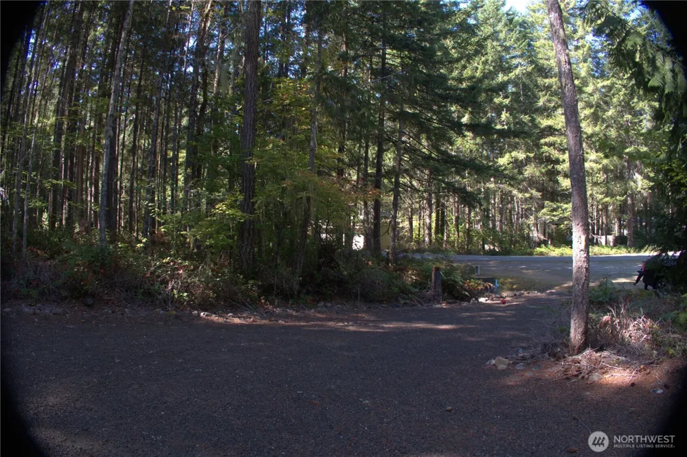 321 N Lakeview Drive Hoodsport, WA 98548