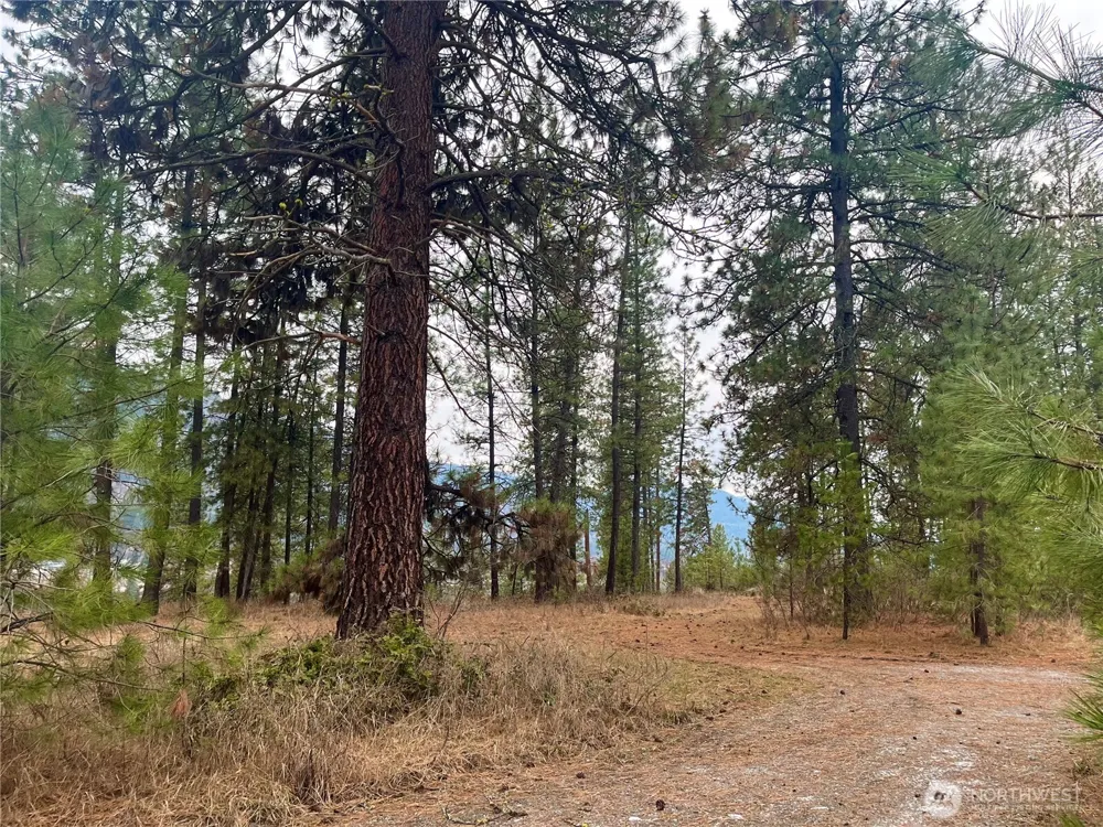 0 4398TBD Northport Flat Creek Road Northport, WA 99157