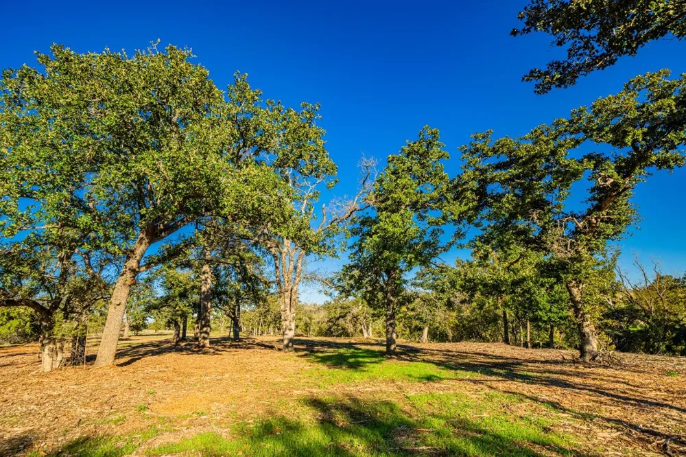 F-M 2843 Salado, TX 76571