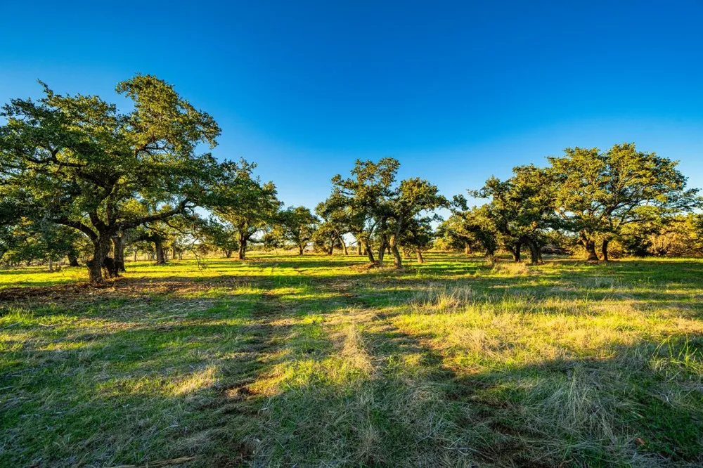 F-M 2843 Salado, TX 76571