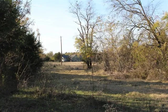 3415 Wills Point, TX 75169