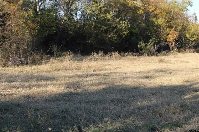 3415 Wills Point, TX 75169