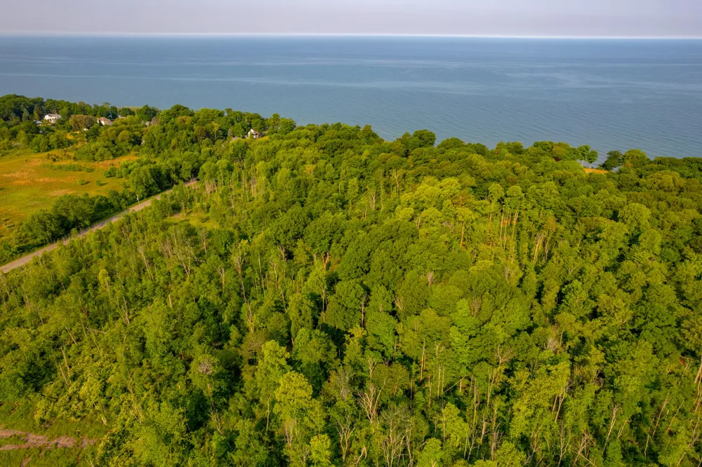 Wiley Road Douglas, MI 49406