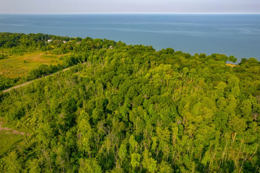 Wiley Road Douglas, MI 49406