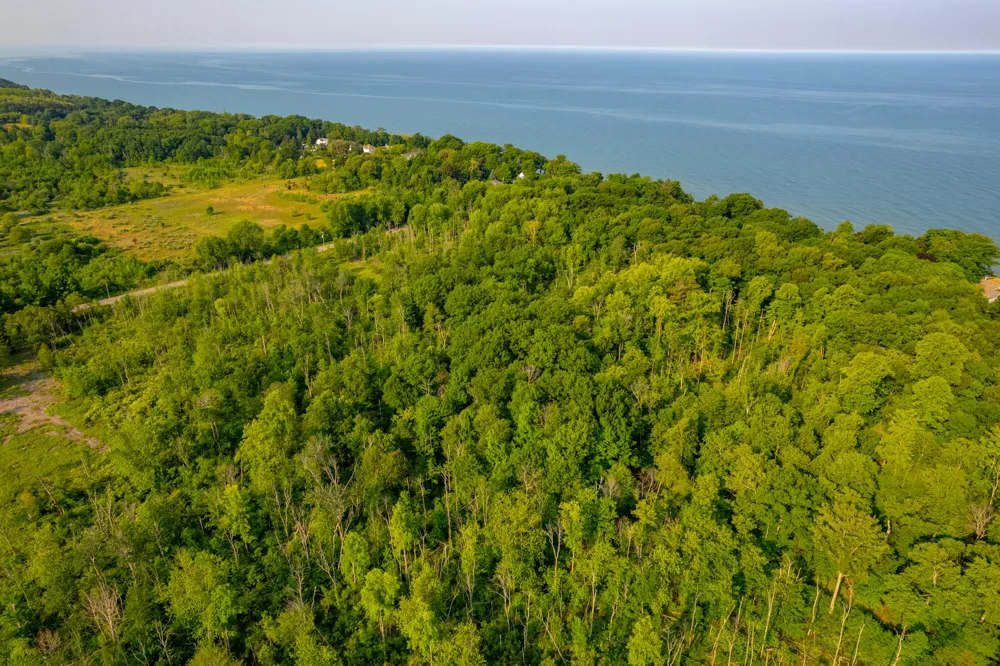 Wiley Road Douglas, MI 49406