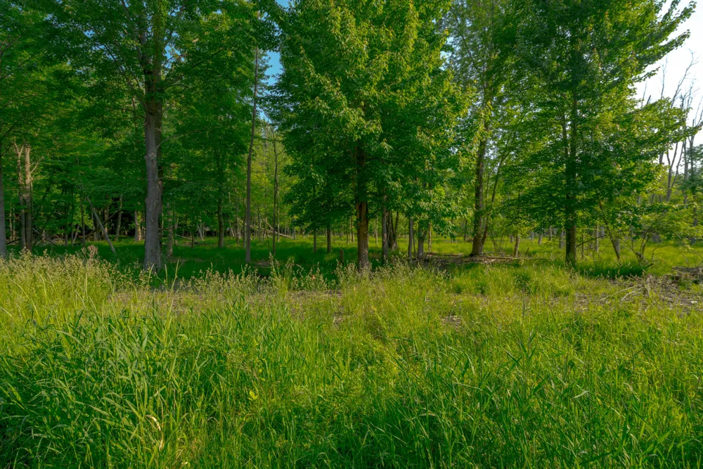 Wiley Road Douglas, MI 49406