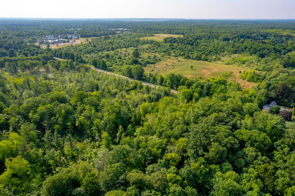 Wiley Road Douglas, MI 49406