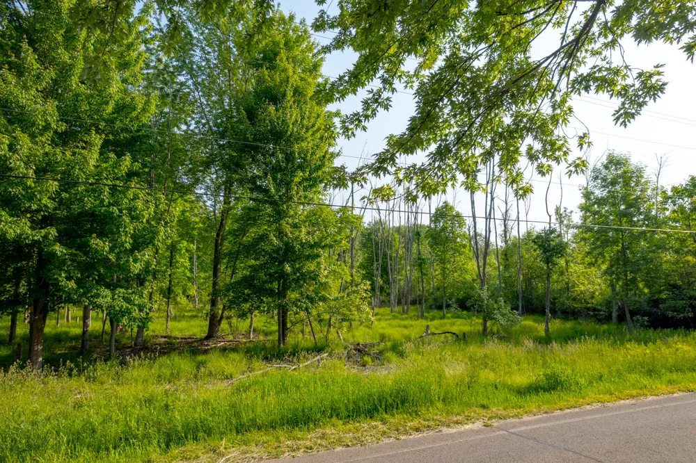 Wiley Road Douglas, MI 49406