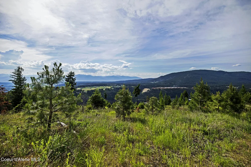 133 Two Tail Road Bonners Ferry, ID 83805