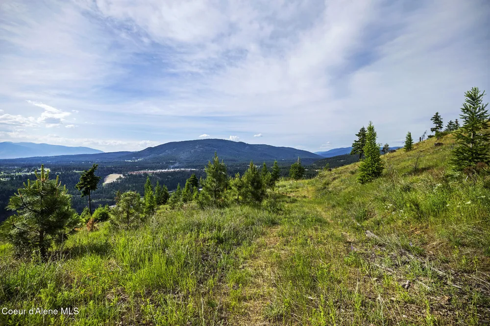 133 Two Tail Road Bonners Ferry, ID 83805