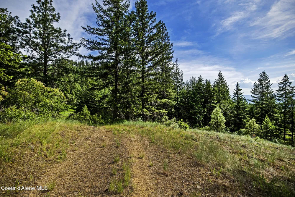 133 Two Tail Road Bonners Ferry, ID 83805