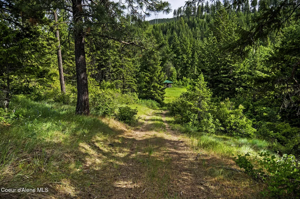 133 Two Tail Road Bonners Ferry, ID 83805