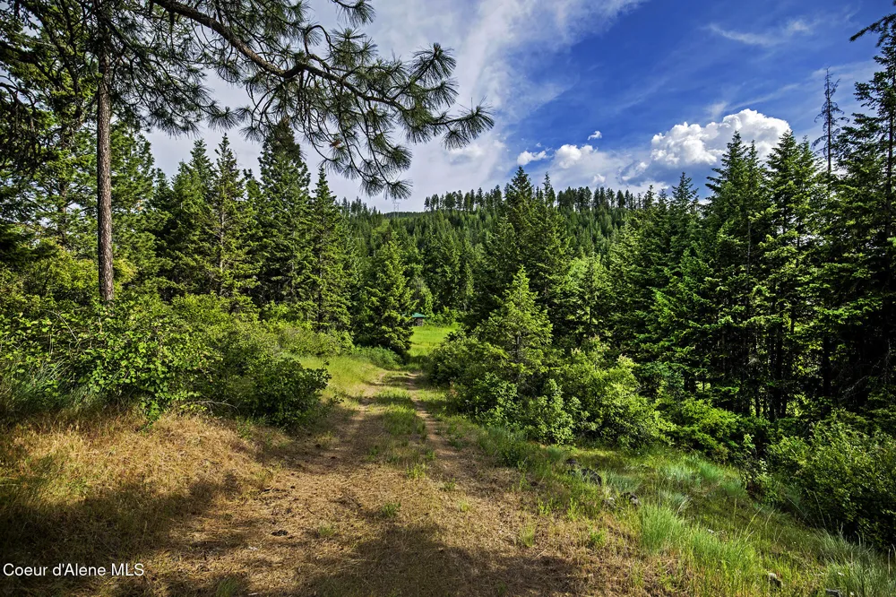 133 Two Tail Road Bonners Ferry, ID 83805