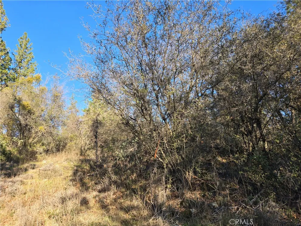 Double Eagle Way Brownsville, CA 95919
