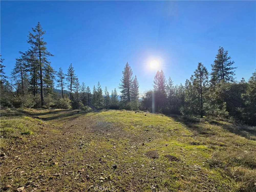 Double Eagle Way Brownsville, CA 95919