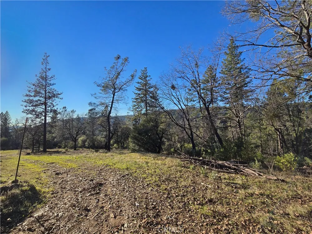 Double Eagle Way Brownsville, CA 95919
