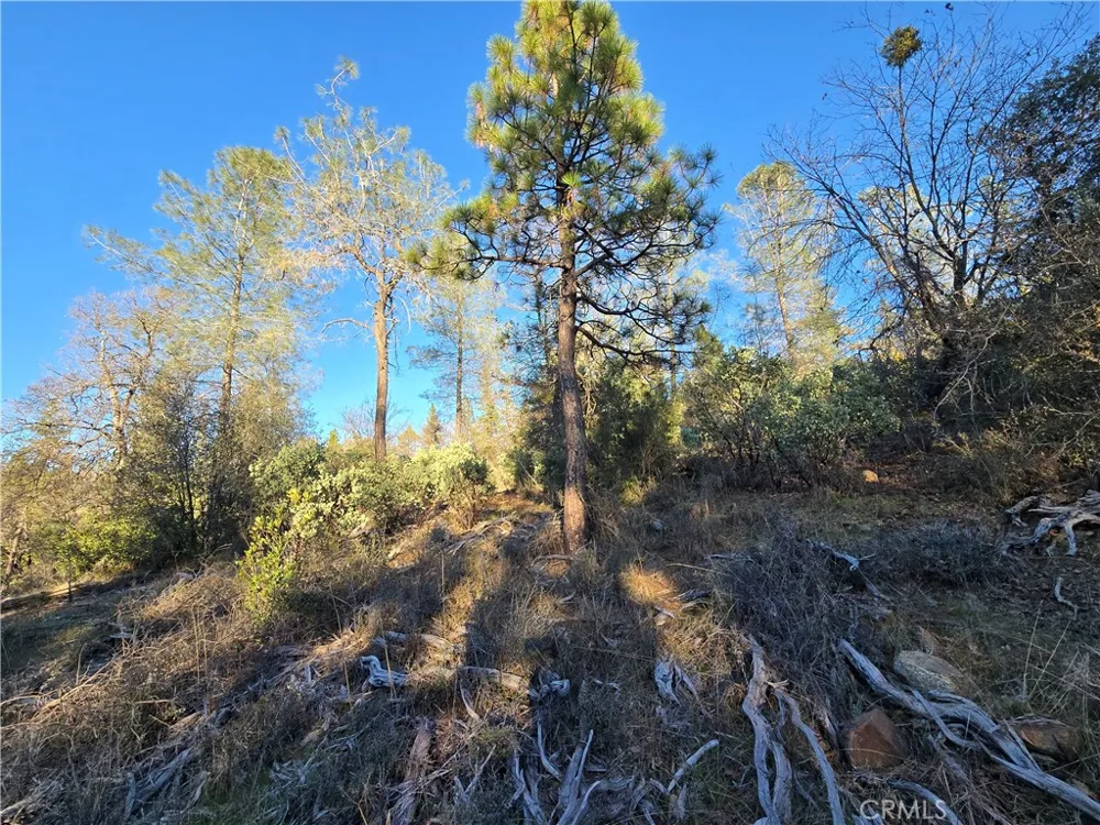 Double Eagle Way Brownsville, CA 95919