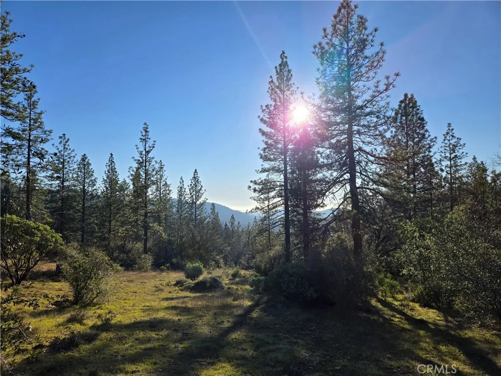 Double Eagle Way Brownsville, CA 95919