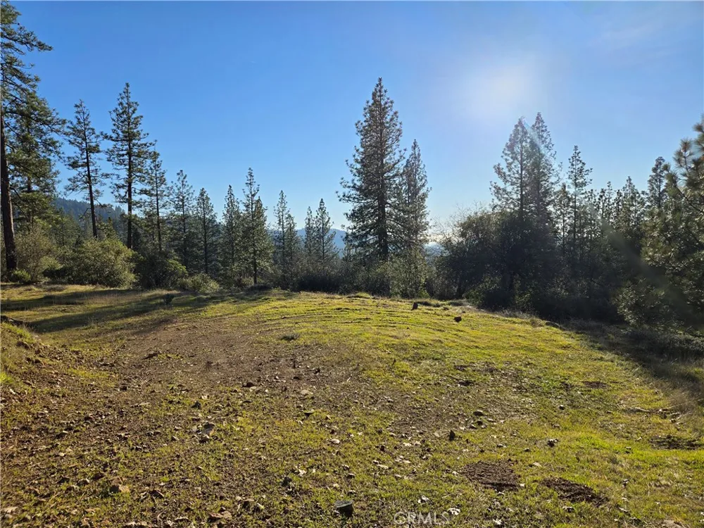 Double Eagle Way Brownsville, CA 95919