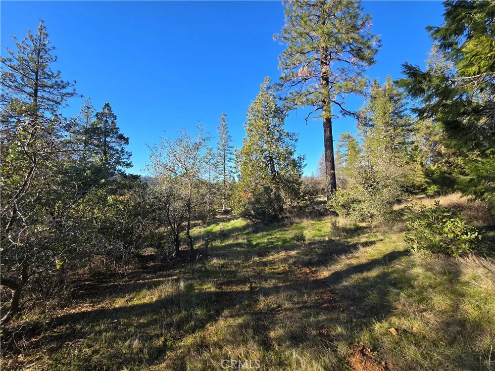 Double Eagle Way Brownsville, CA 95919