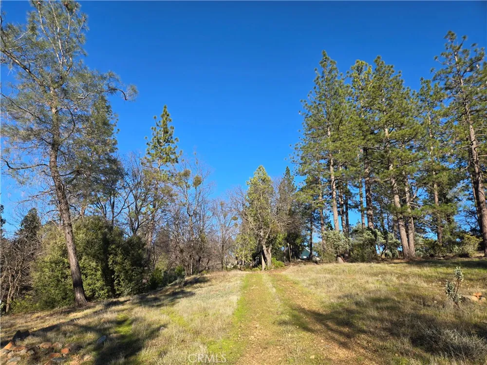 Double Eagle Way Brownsville, CA 95919
