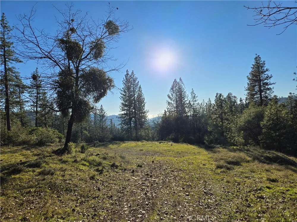 Double Eagle Way Brownsville, CA 95919