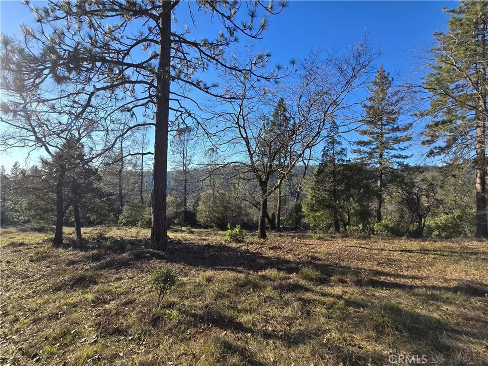 Double Eagle Way Brownsville, CA 95919