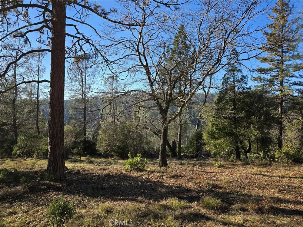 Double Eagle Way Brownsville, CA 95919