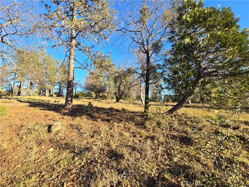 Double Eagle Way Brownsville, CA 95919