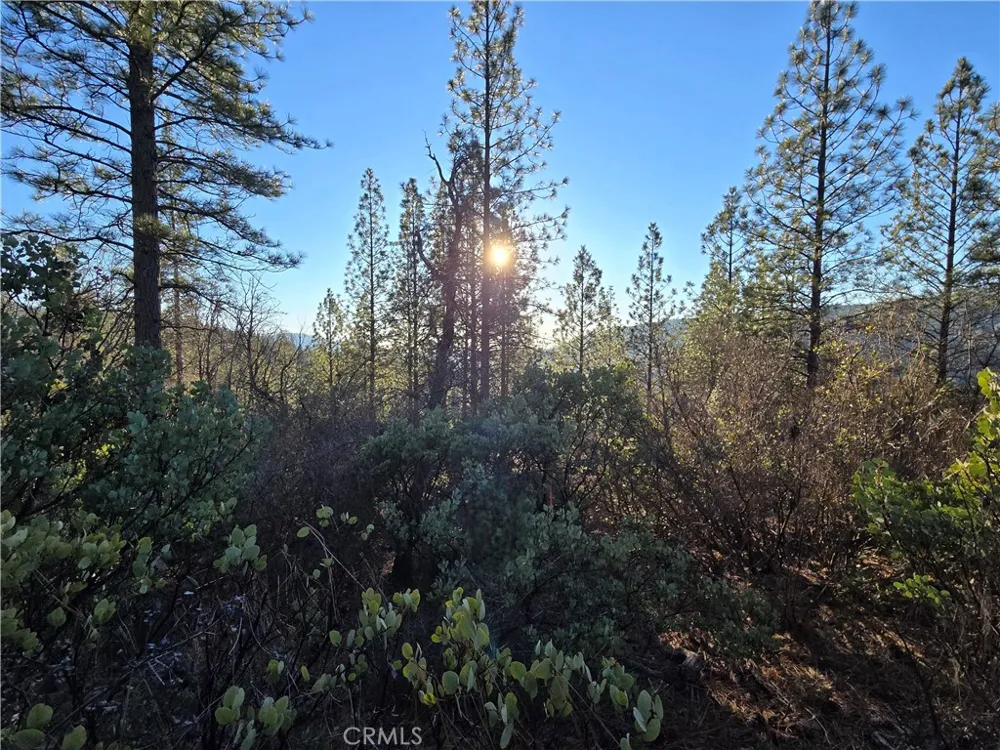 Double Eagle Way Brownsville, CA 95919