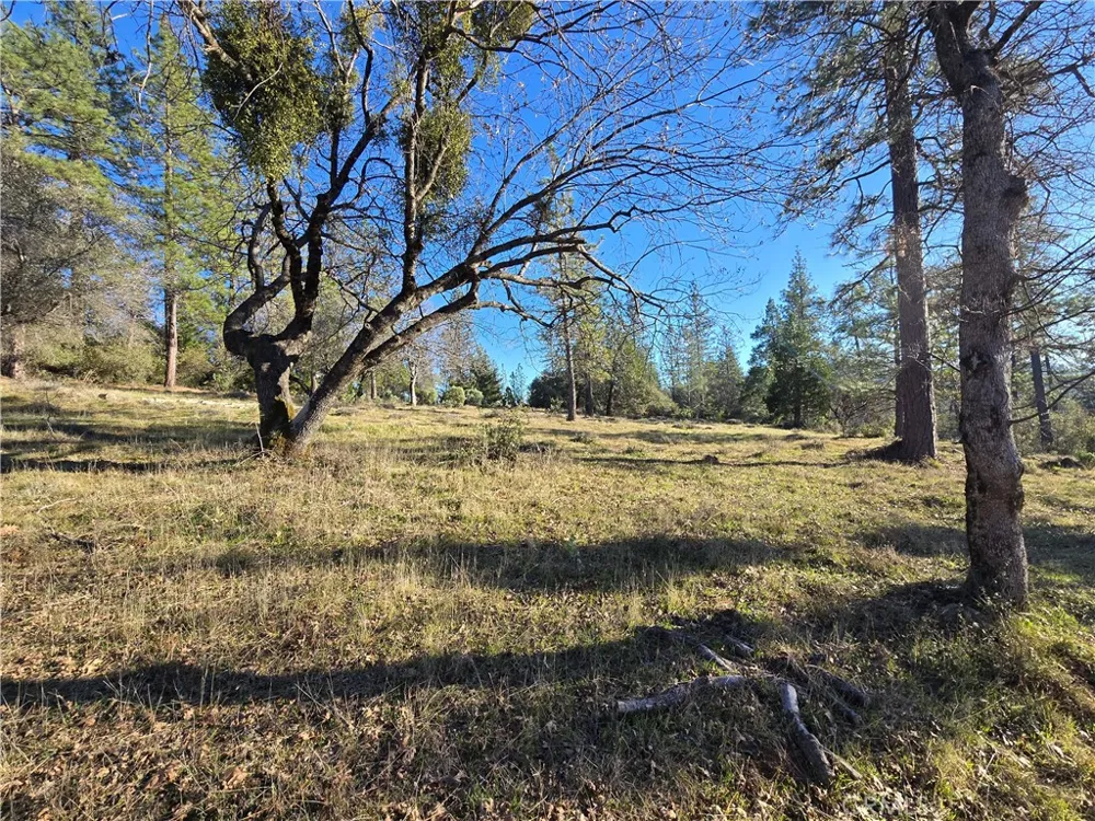 Double Eagle Way Brownsville, CA 95919