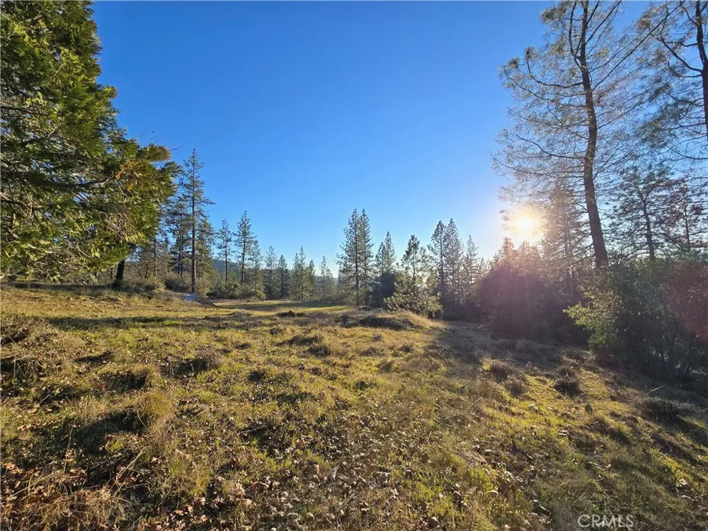 Double Eagle Way Brownsville, CA 95919