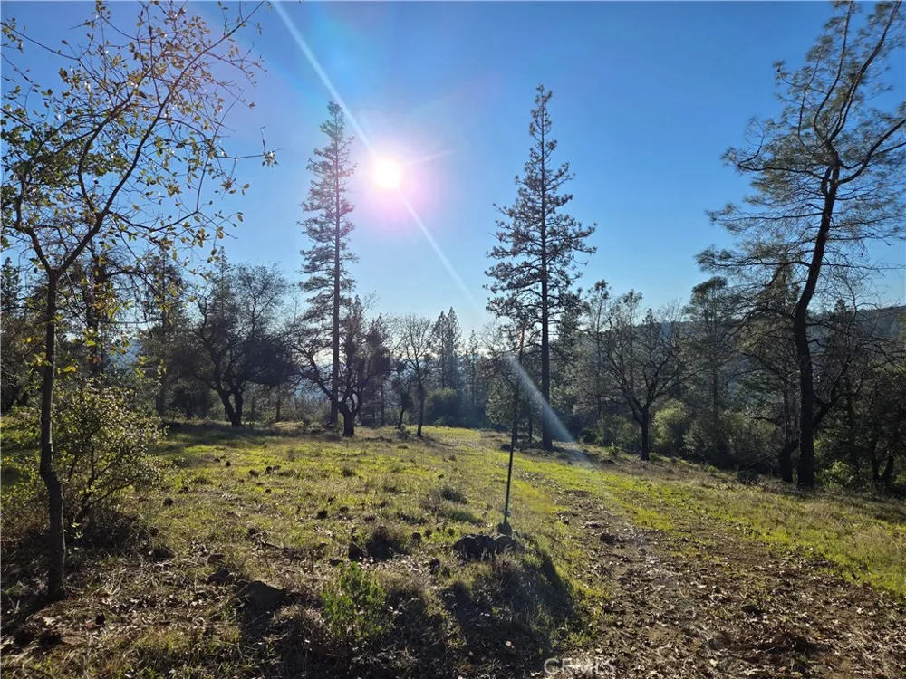Double Eagle Way Brownsville, CA 95919
