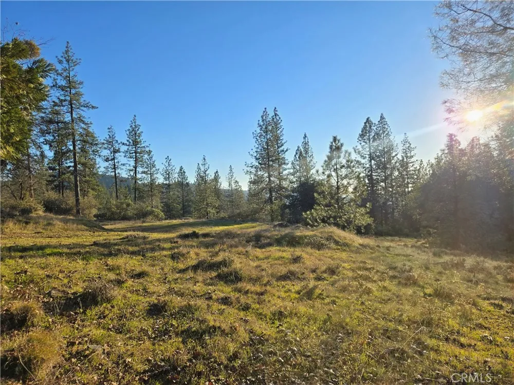 Double Eagle Way Brownsville, CA 95919