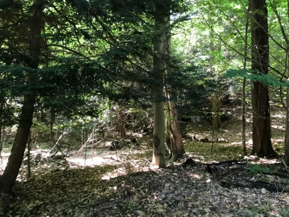 21 Peppers Trail Montague, MI 49437
