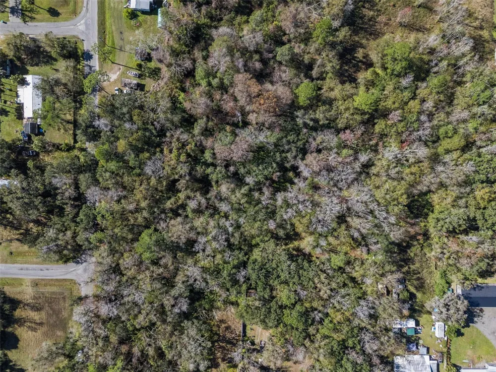 1002 BUIST ST Orlando, FL 32828