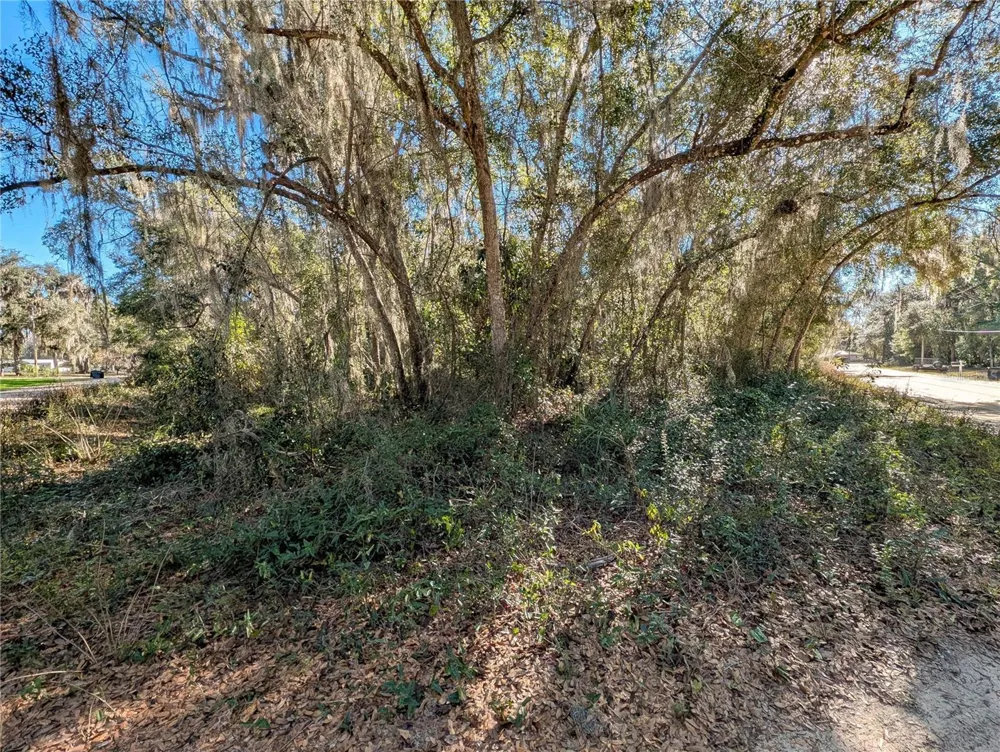 110 LEEWARD ROAD Satsuma, FL 32189