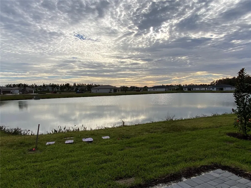 32643 NEROLI STREET Wesley Chapel, FL 33543