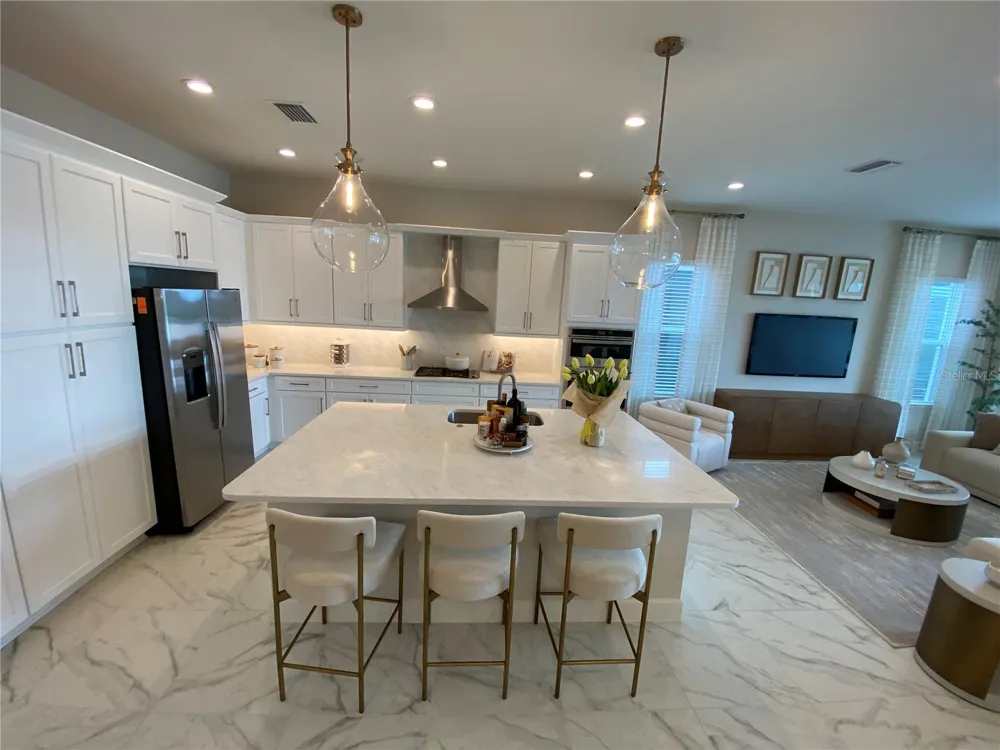 32643 NEROLI STREET Wesley Chapel, FL 33543