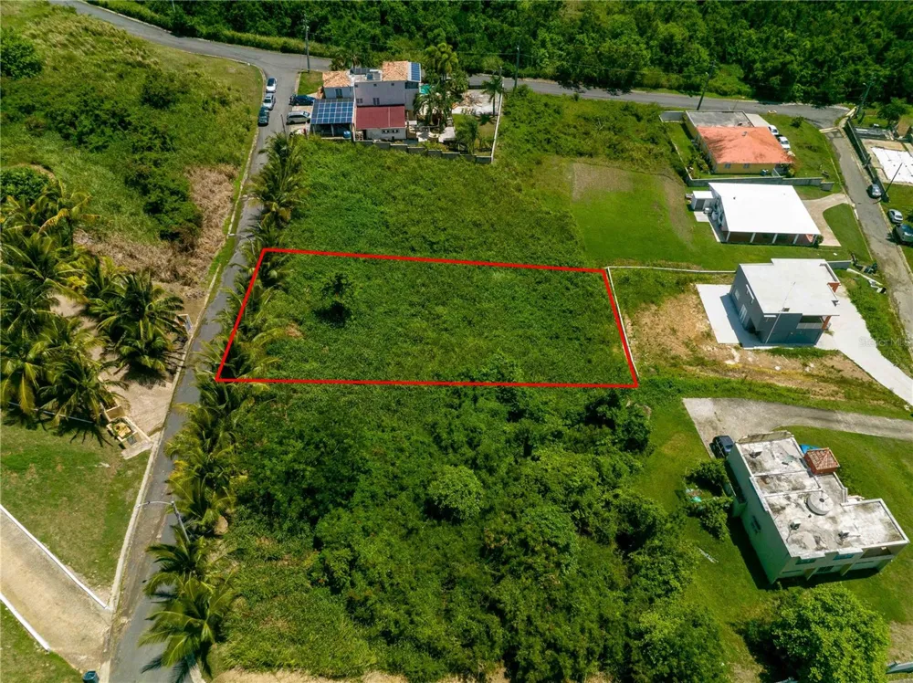BO Mameyes LINDOMAR II #Lote 24 Rio Grande, PR 00745