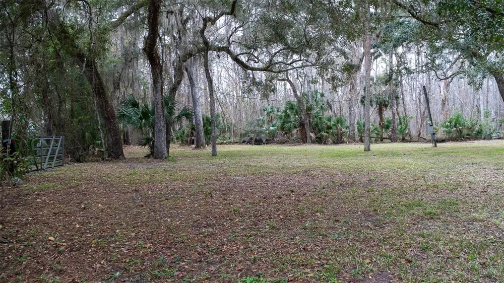 155 FRAN LANE Satsuma, FL 32189