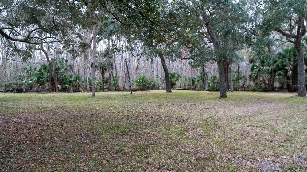 155 FRAN LANE Satsuma, FL 32189
