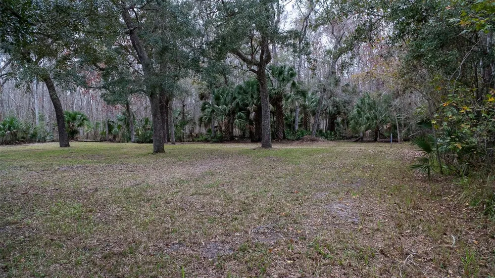 155 FRAN LANE Satsuma, FL 32189